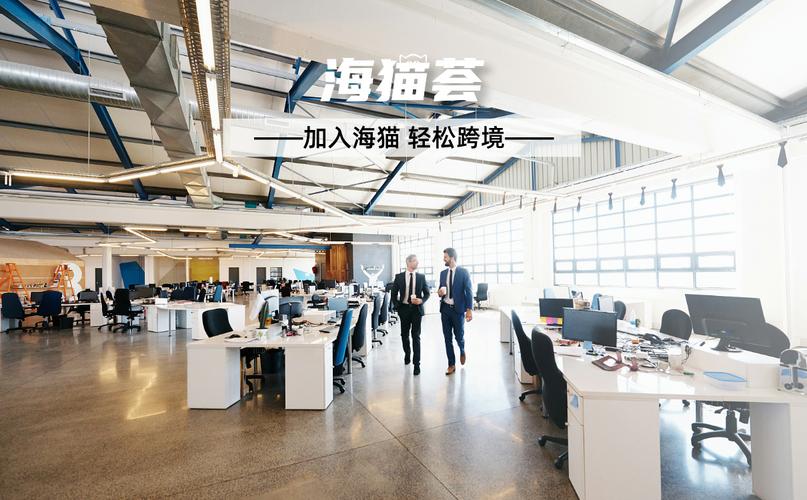 由代运营公司负责产品上架,优化,广告投放,客户服务等一系列运营工作